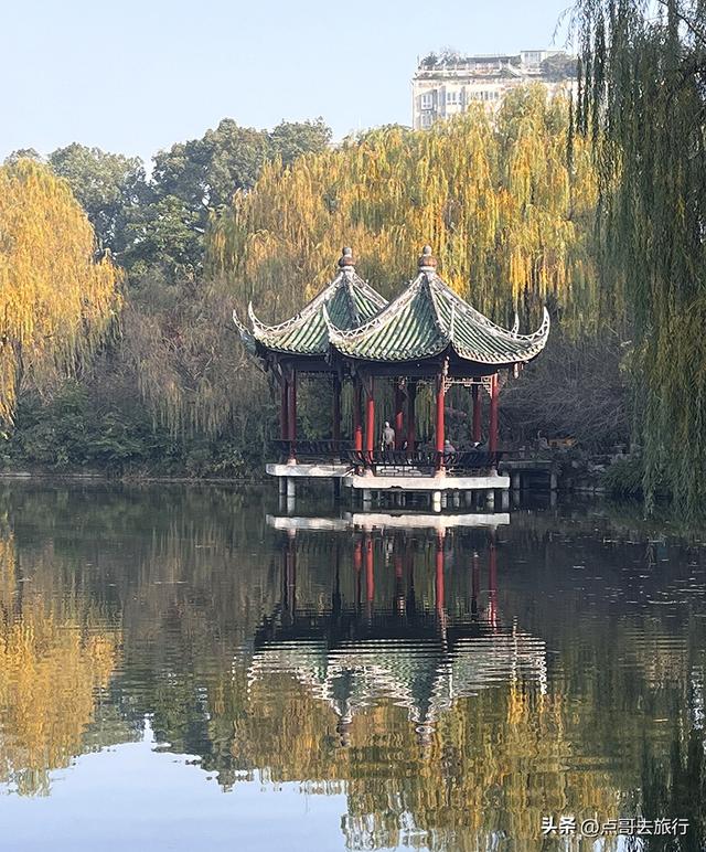 成都被私藏的彩林公园，流金溢彩，充满老城烟火气，地铁公交直达