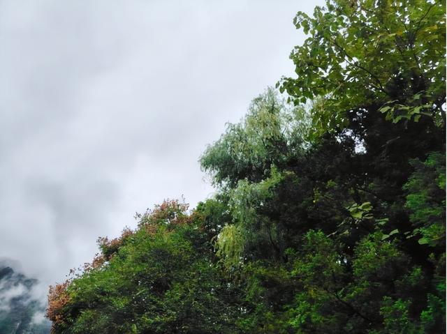 康县：秋雨、青年与白云山的邂逅