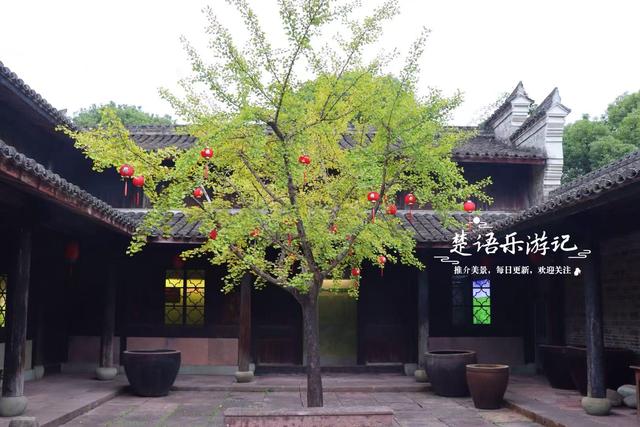 宁波这里的银杏已经变黄了，青砖黛瓦与之映衬，烟雨之中更有诗意