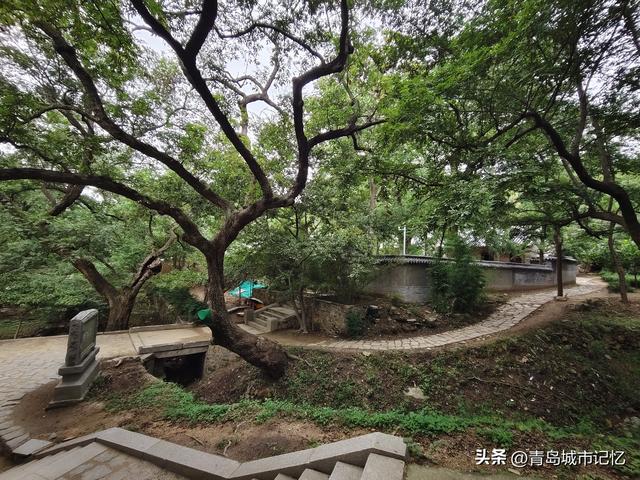 六百年浮山荒草庵，荒废六十年，即将重新开放