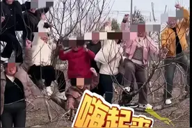 十大妈站树上拍照，树枝折断被摔下一半。树主人回应，网友不买账图片