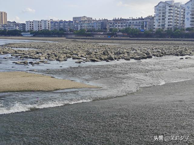 福鼎市区一日游：从白茶发源地到市井小吃赏唐风建筑品山海韵味