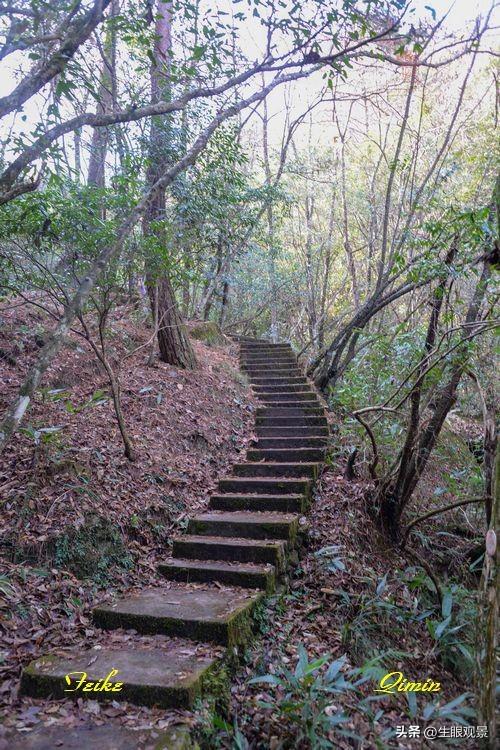 影记 | 衢州钱江源国家森林公园