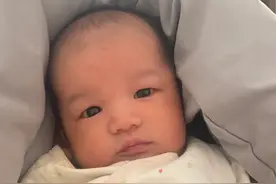 三胎 已生 能救一个是一个图片
