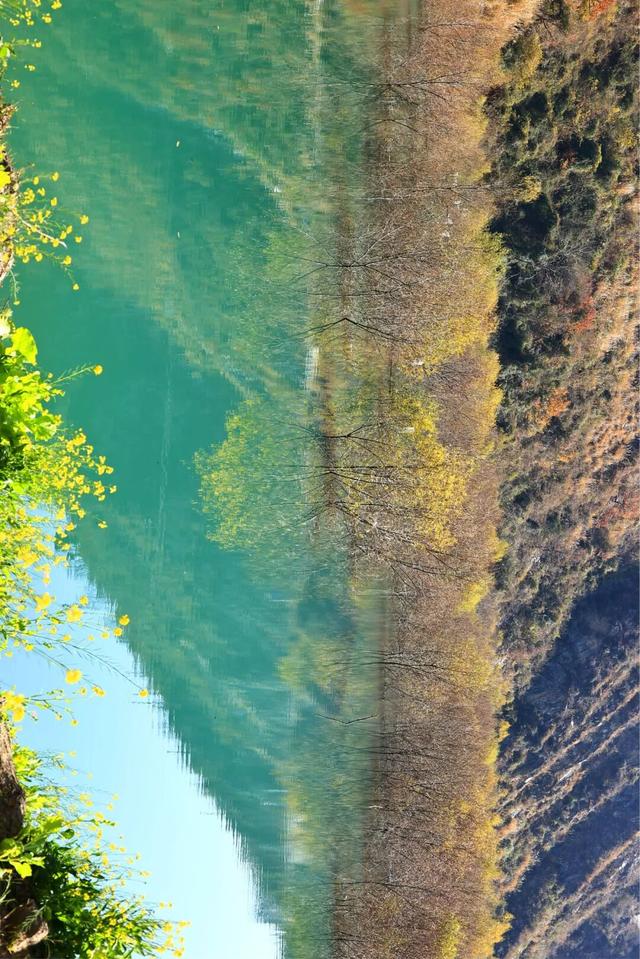 陇南油菜花提前开放，今天可以约起走！