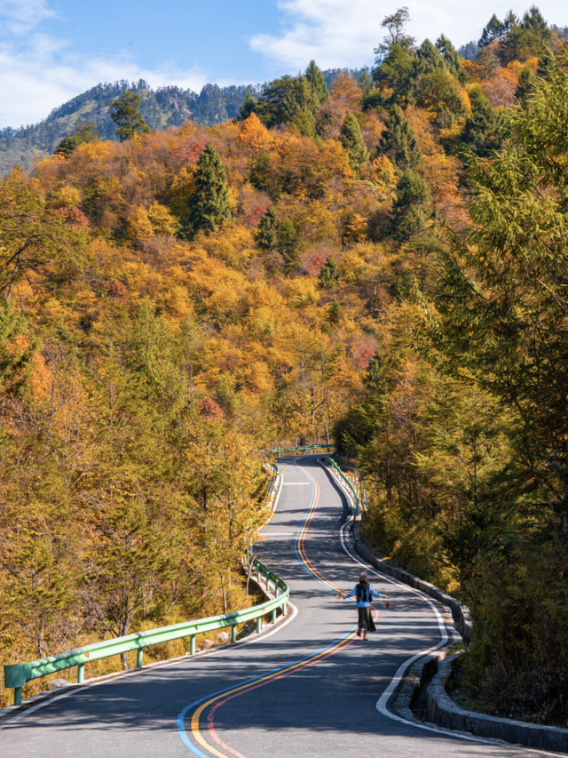 最佳观赏期！雅安的红叶彩林“封神”啦！
