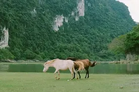 《盗将行》歌词解析|有些人，错过了就永远错过了，人要懂得珍惜图片