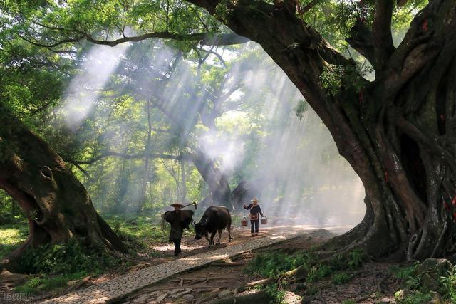 从湖南去了一趟霞浦，实话实说，回来才发现朋友圈都是骗人的？