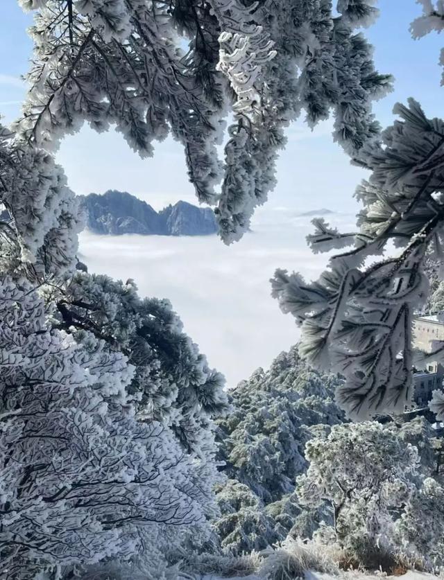 杨迪实名安利！炎炎夏日，来黄山“云”赏雪景降降温