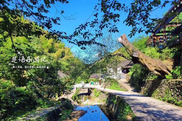 浙江宁波桥坑山麓的古村，既是文化名村又是景区村庄，景色确实美