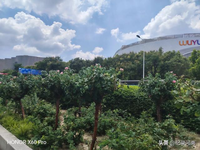 信华建国酒店和新城吾悦广场，如同商丘市中心城区的两颗璀璨明星