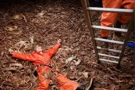 捕捞帝王蟹有多赚钱，一周超10万美金？捕蟹人：这都是拿命换的钱图片