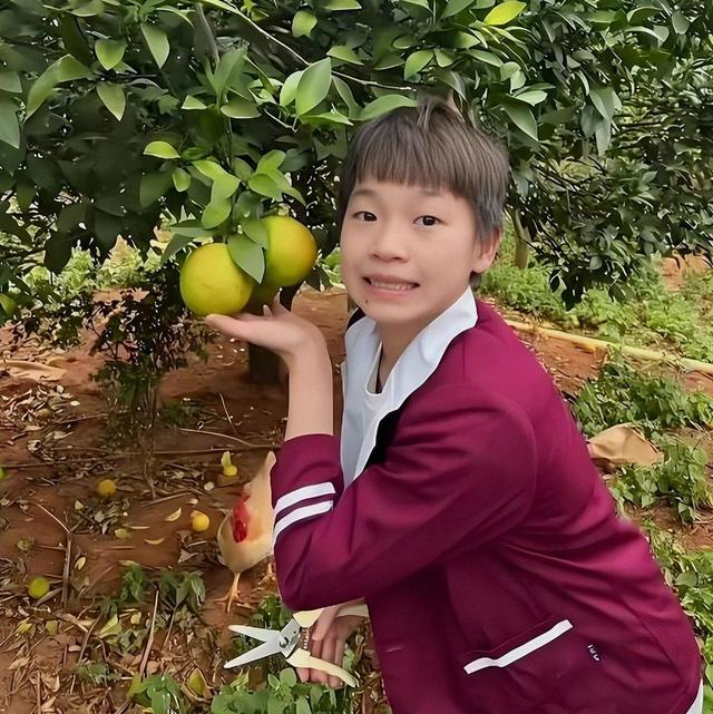 人民日报发声全红婵捐赠直播收入，释放3大信号，郭晶晶说对了