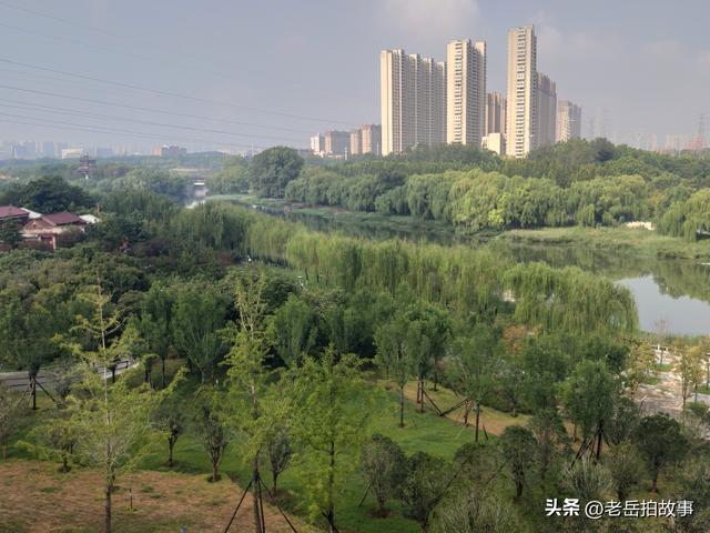 雨后游郑州市西流湖公园有感