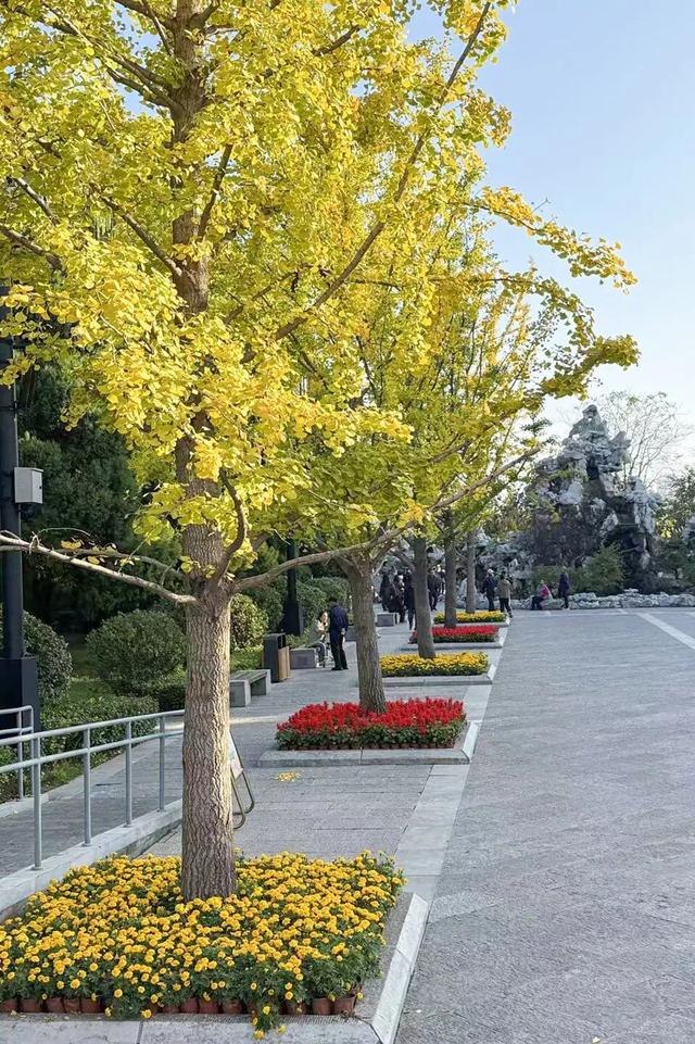 太原市迎泽区：府城漫步｜满城色彩绘就秋日画卷