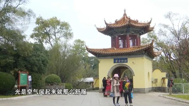 “人少不挤+暖阳鸥遇”，昆明“杀”进淡季旅游热门榜！