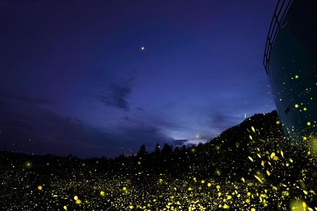 盘点我去过浙江泰顺的五个绝美地，比国外还美，知道的游客却很少