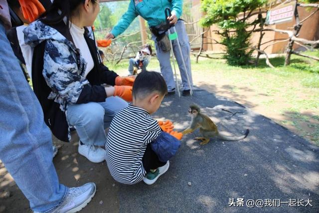 济南野生动物世界十年感恩庆典：金秋宠粉欢乐开启
