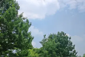 无德的老人，子孙一定要远离，别让自己陷入内耗中。图片