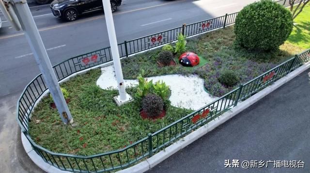 “变色龙”花海空降！这条大道将美到不像话~