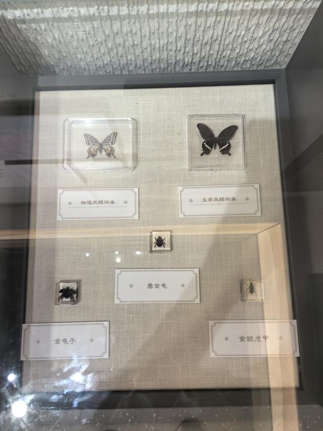 浙江湖州市德清县莫干山国家级风景名胜区游记（上）