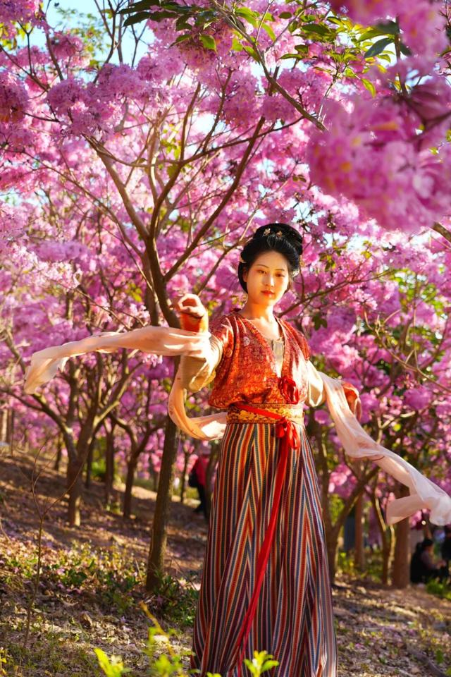 惠聚美好丨冬日惠州，繁花竞放