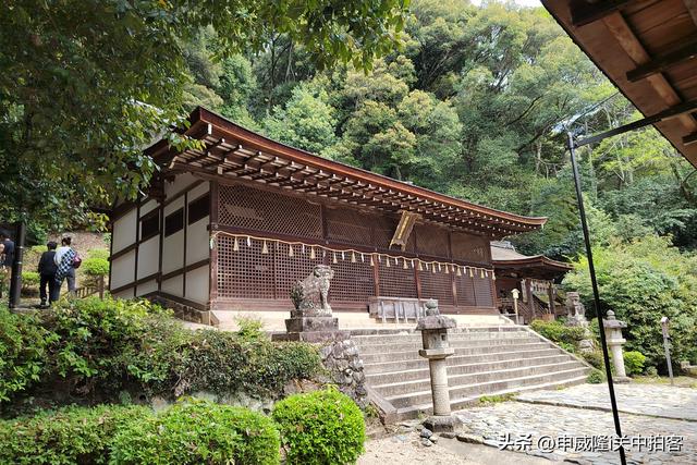 日本京都：寻访13处世界文化遗产点