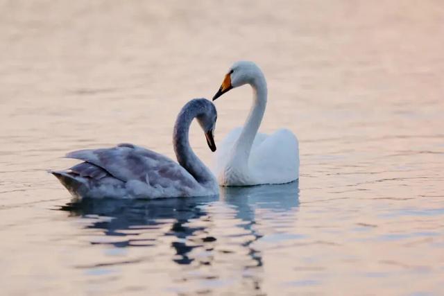 6城上榜！2025康养百强榜出炉，山东凭什么这么能打？