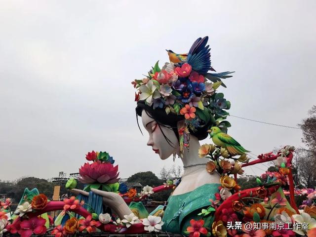 当整个南京都在追光，我在白鹭洲等一场灯与影的相逢