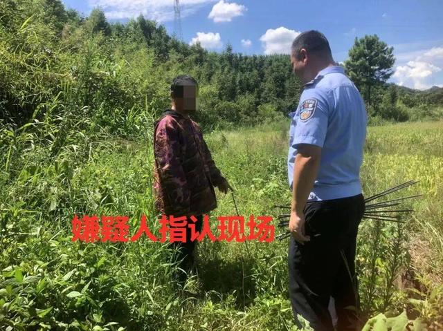 监守自盗! 2024年, 湖北一护林员在山里架980米电网, 冰柜中搜出肢体