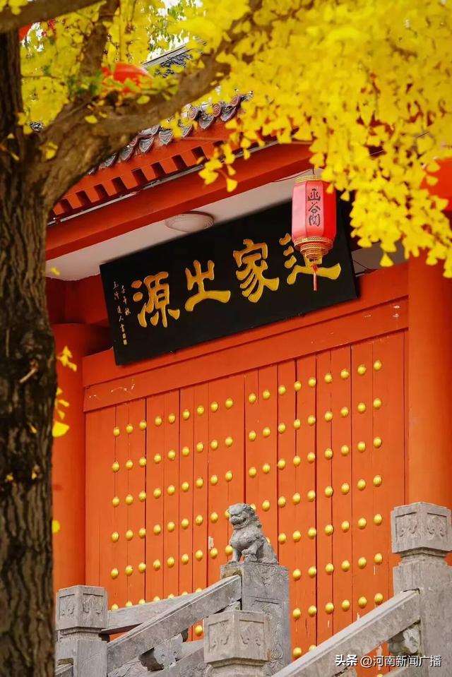 免门票！有优惠！新疆人的专属福利来啦~