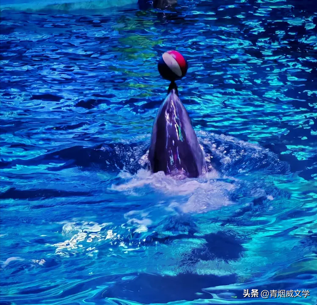 七月闲云行：沿海行记事