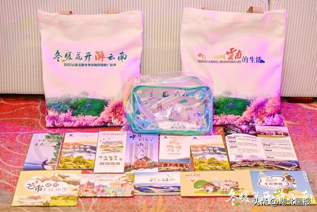【知音湖北】“冬暖花开游云南”2025冬季文旅推广活动走进武汉 共绘跨区域合作新图景