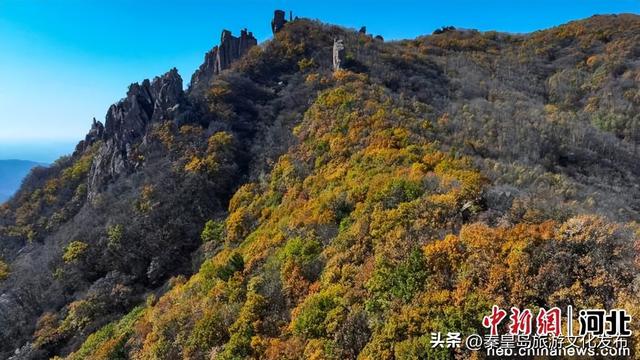 秦皇岛：长城秋景如画