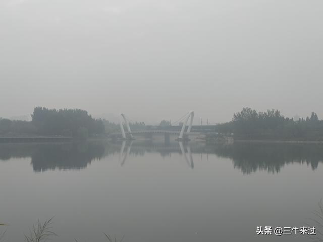 无为在歧路，国庆游淄博4