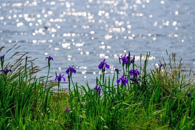 腾冲2026年度文旅活动主题发布，月月有惊喜！