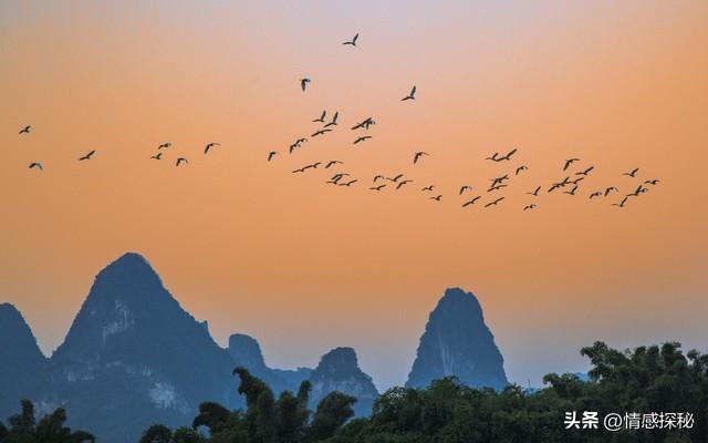 父母的爱，是无声守护的温柔债，如何才能还清？每个人都该深思！