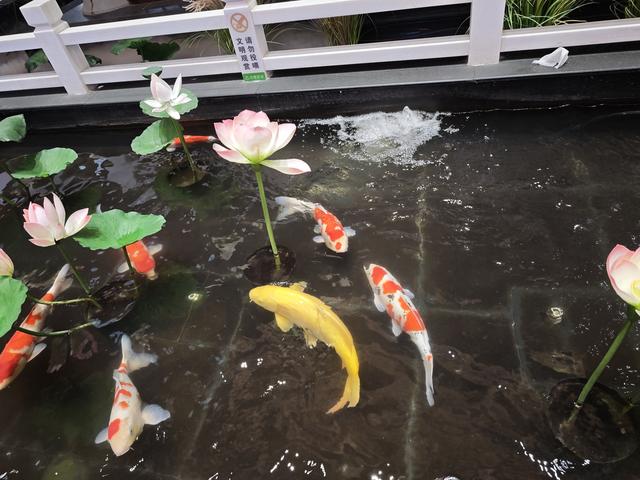 火热潍坊等着您