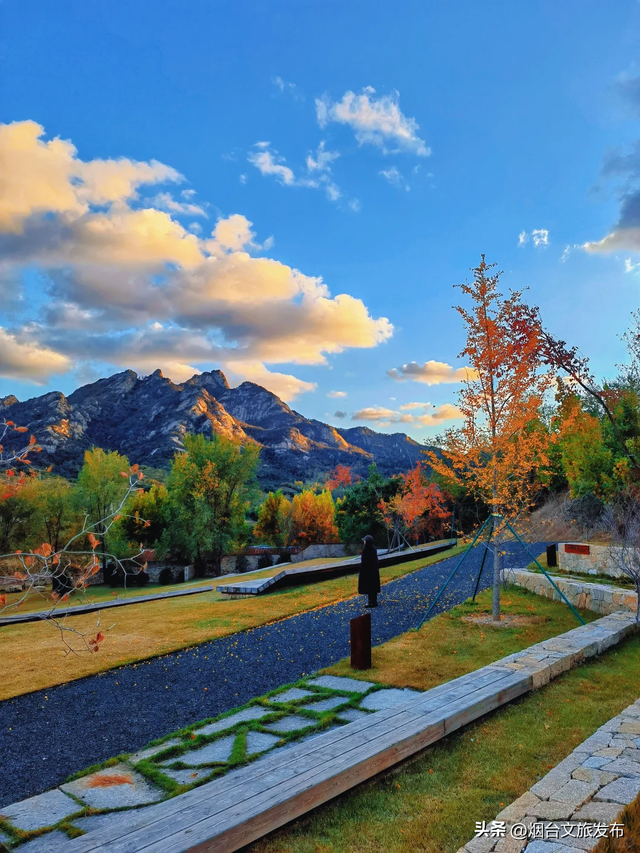 【乐游烟台】烟台开车1小时到达的小众赏秋秘境，人少景美！