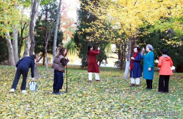 我在昌乐西湖公园拍到的游客