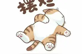 头像｜猫咪头像，不想干活，只想躺平图片