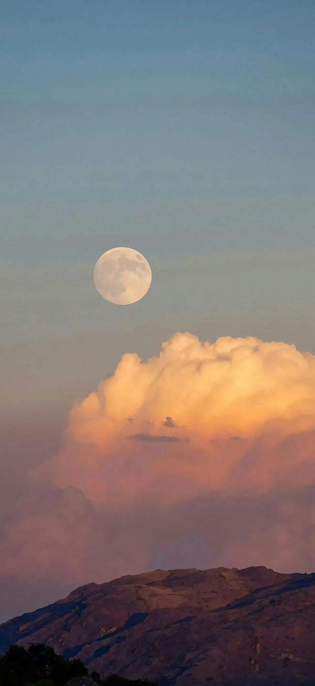 风景壁纸已送达