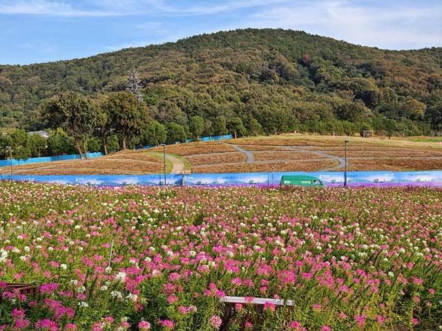 江苏旅游：从灵山胜境到拈花湾行散记（图）