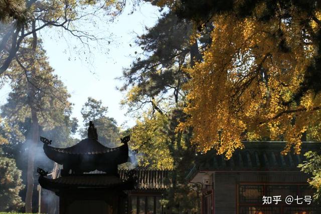 在八大处，寻到了北京最美的秋
