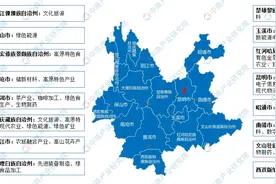 2024年云南省重点产业规划布局全景图谱图片