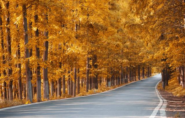 红了！红了！你最想和谁一起去？