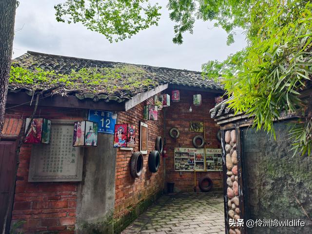 成都古镇（15）郫县唐昌古镇崇宁公园·大椿巷