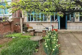 在农村，这3种果树院外种，镇宅守家，越养越吉祥，别栽错了图片