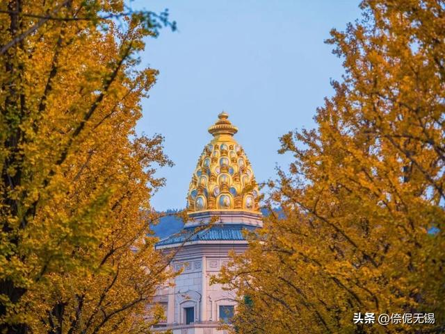 拥堵预警！这周末大家都去......