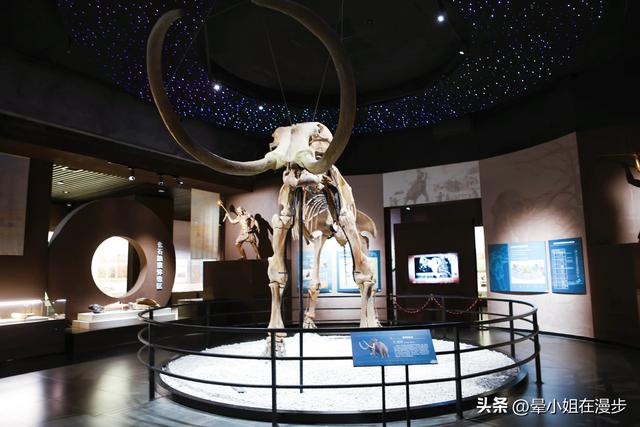 内蒙古远超预期的综合性博物馆，亲子旅行必打卡
